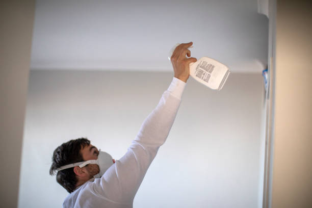 Mold Removal and Inspection in Willard, MO